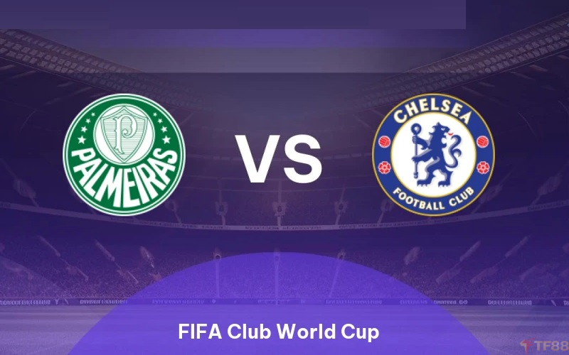 Soi kèo Palmeiras vs Chelsea 08h00 ngày 05/07 - Sự vùng vẫy Soi kèo Palmeiras vs Chelsea