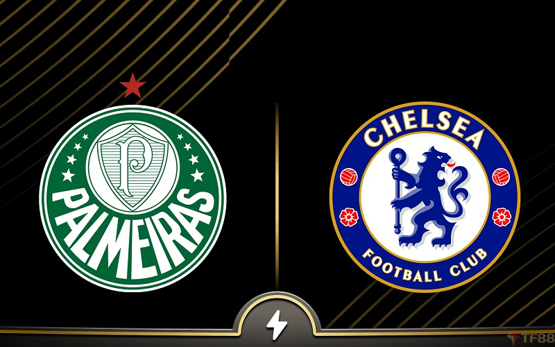Soi kèo Palmeiras vs Chelsea 08h00 ngày 05/07 - Sự vùng vẫy Soi kèo Palmeiras vs Chelsea